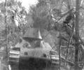 танк Т-34 в лесу